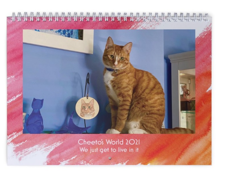 It’s time for the 2021 CHEETO’S WORLD Calendar! Kimberly Einmo